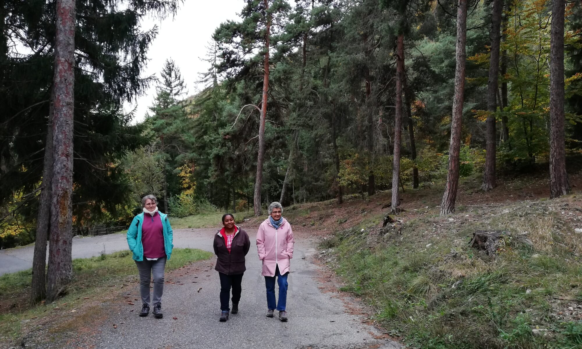 Krystel, Jaci et Catarina marchant dans la forêt